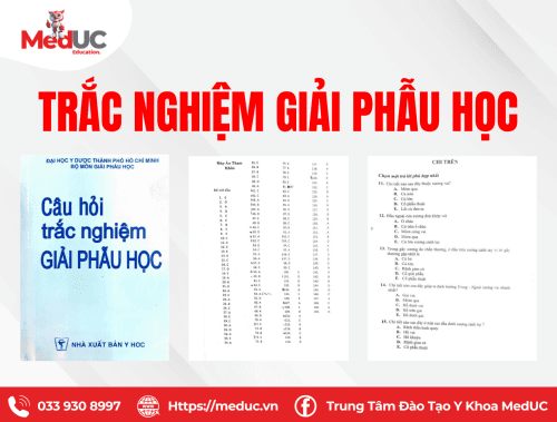 Câu hỏi trắc nghiệm giải phẫu