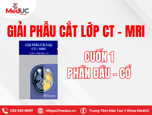 Giải phẫu cắt lớp  ct - mri - t1