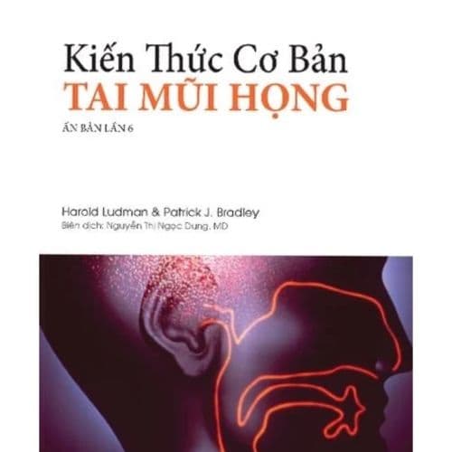 Kiến thức cơ bản tai mũi họng
